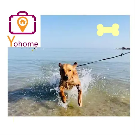 Serafini 34 Con Piscina E Vista Mozzafiato アパート